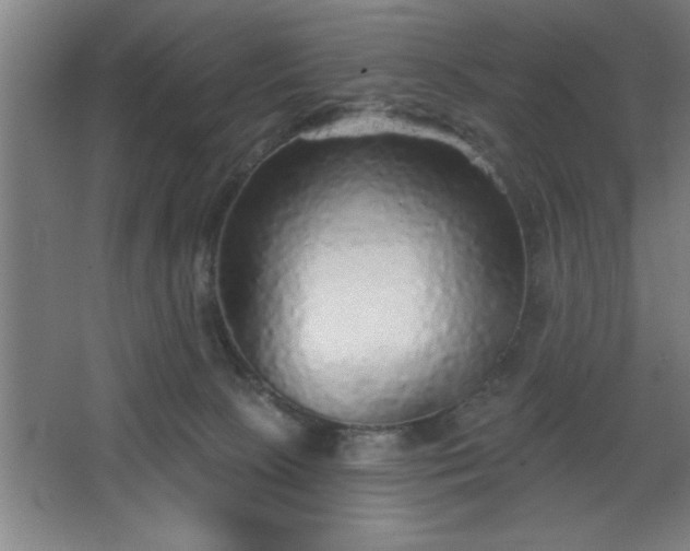 X0000068720081200605010944