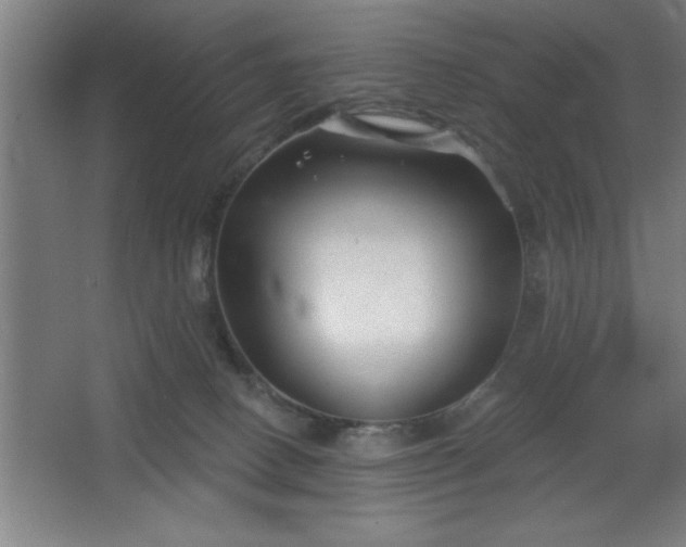 X0000068720082200605010944