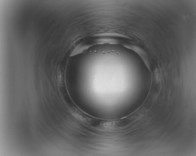 X0000068720084200605010944