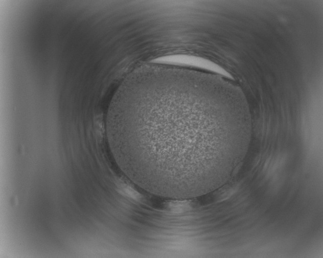 X0000068720085200605010944