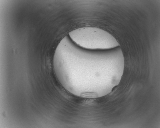 X0000068720086200605010944