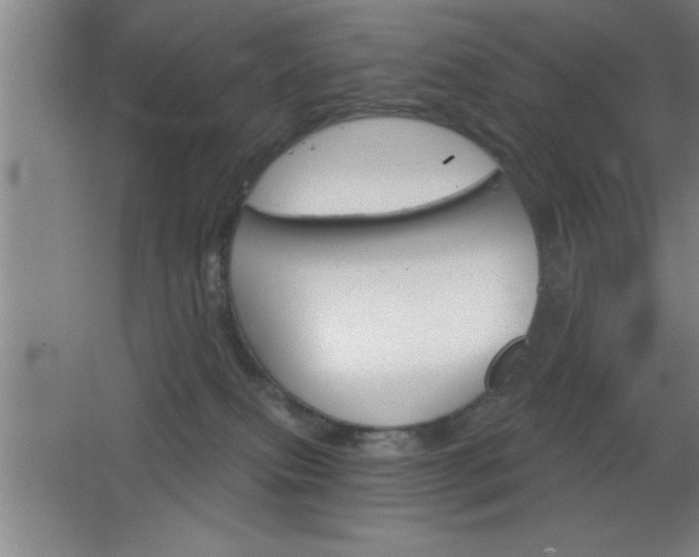 X0000068720087200605010944