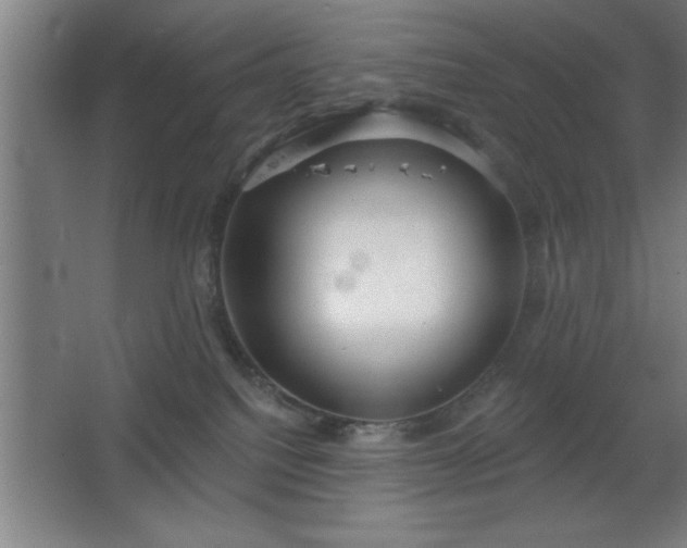 X0000068720088200605010944