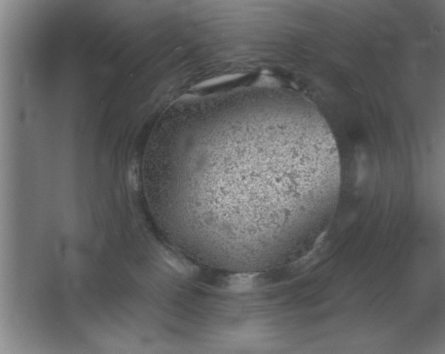 X0000068720090200605010944