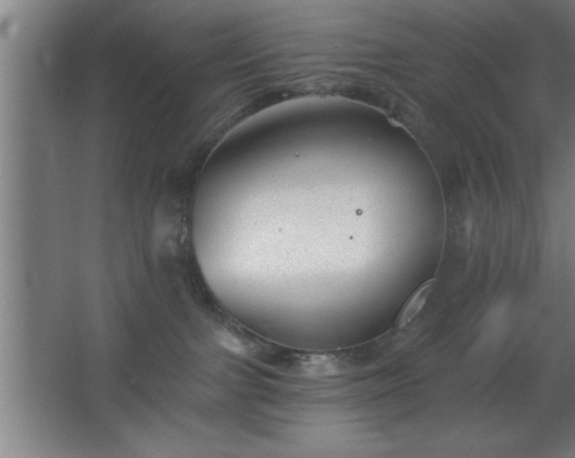 X0000068720091200605010944