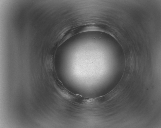 X0000068720092200605010944