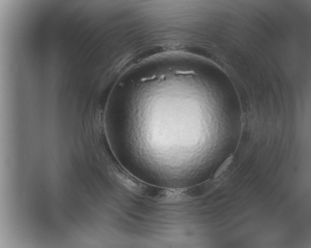 X0000068720093200605010944