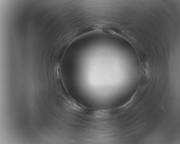 X0000068720094200605010944