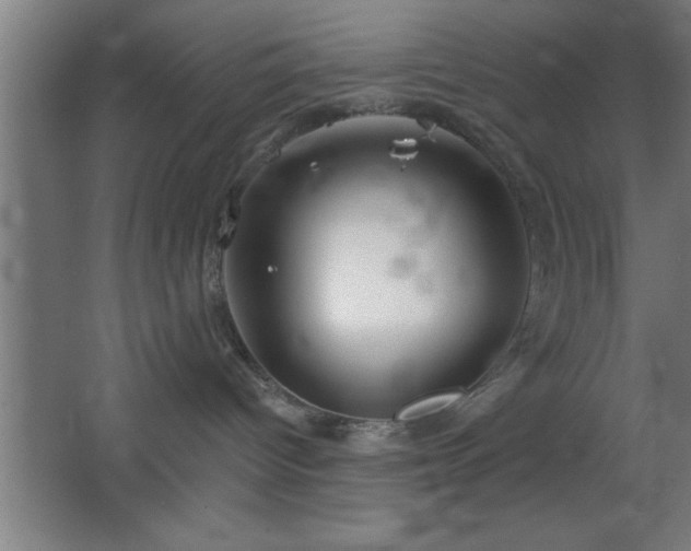 X0000068720096200605010945