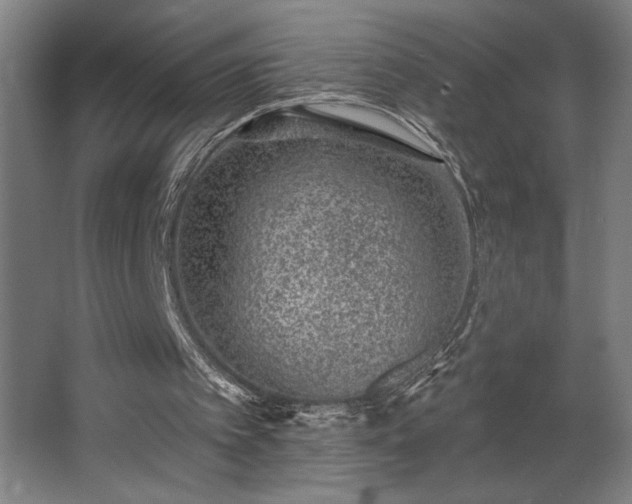 X0000068720097200605010944