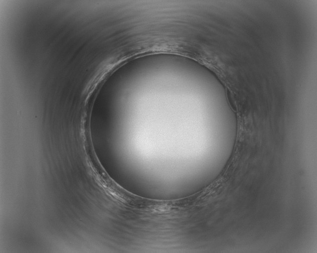 X0000068720098200605010944