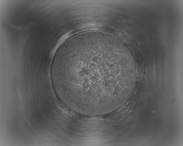 X0000068720099200605010944