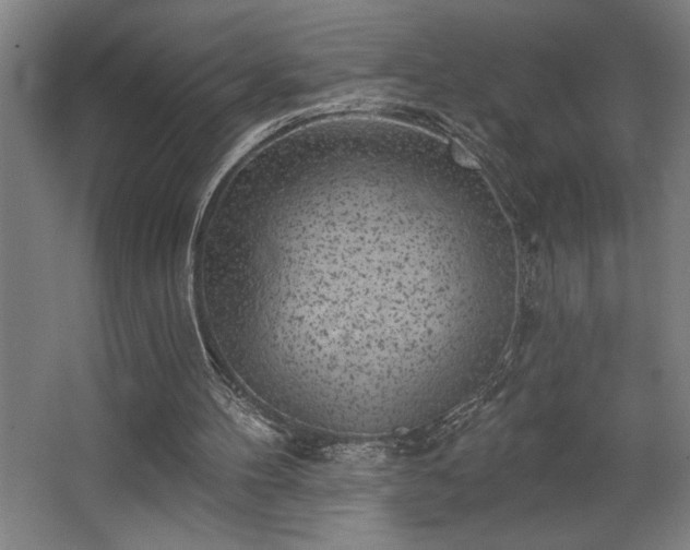 X0000068720100200605010944