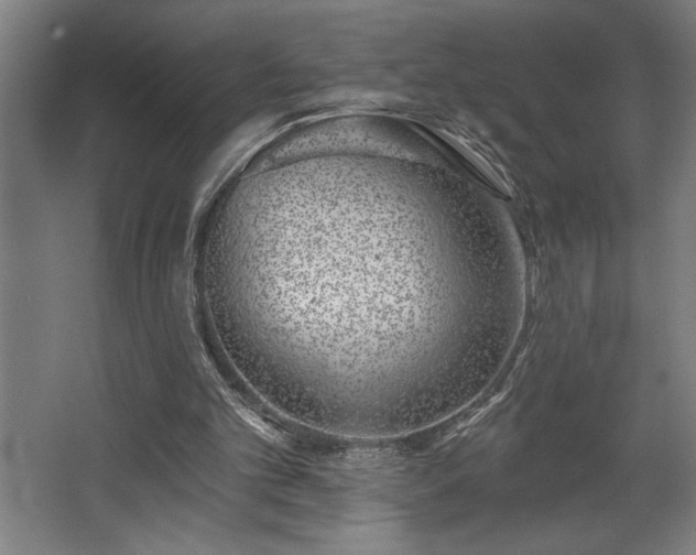 X0000068720101200605010944