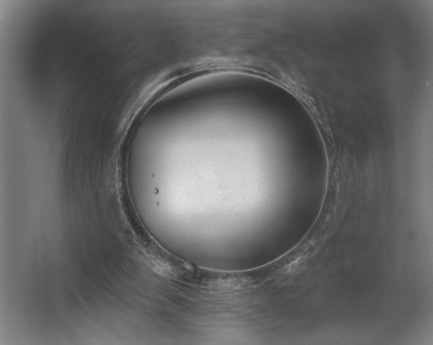 X0000068720103200605010944