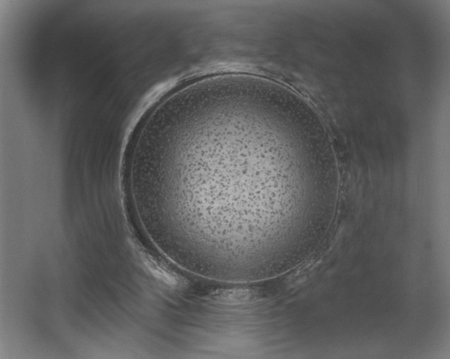 X0000068720104200605010944