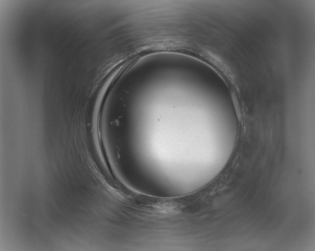 X0000068720105200605010944