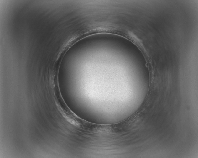 X0000068720106200605010944