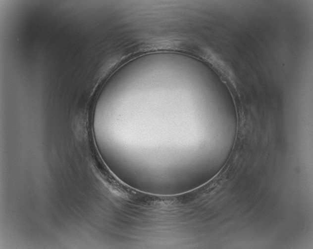 X0000068720107200605010944