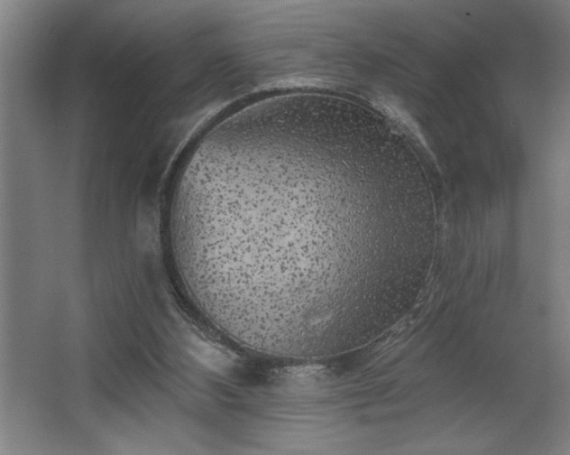 X0000068720108200605010944