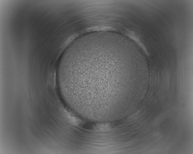 X0000068720110200605010944