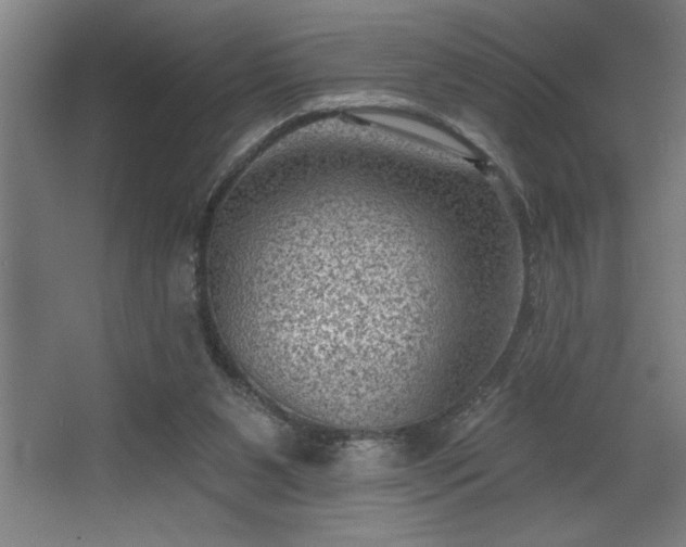 X0000068720111200605010943