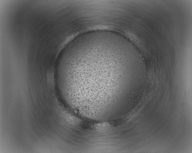 X0000068720112200605010943