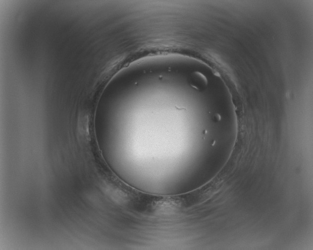 X0000068720115200605010943