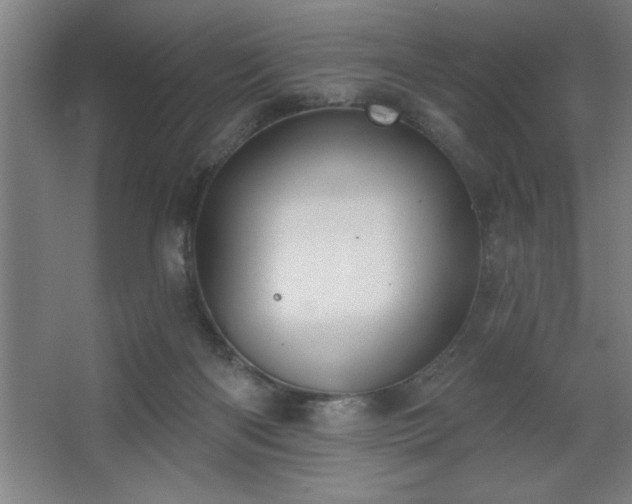 X0000068720122200605010943