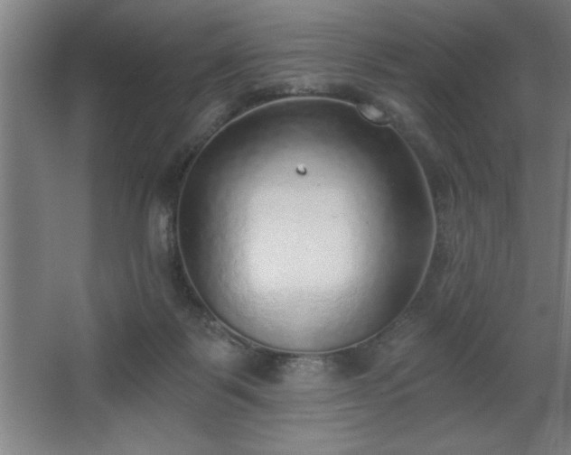 X0000068720123200605010943