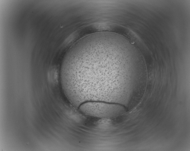 X0000068720124200605010943