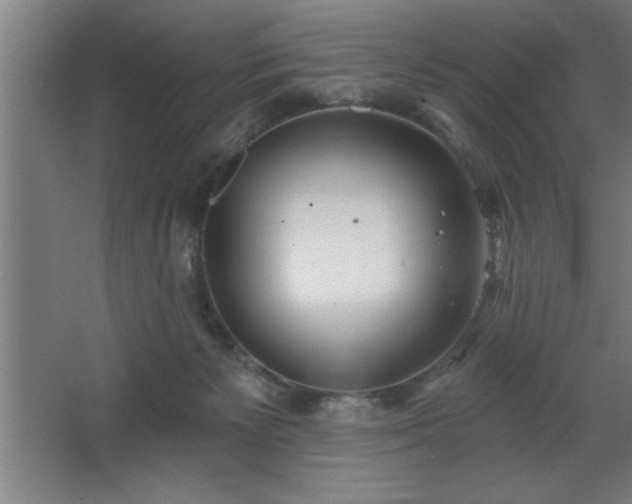 X0000068720125200605010943