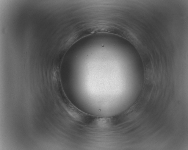 X0000068720126200605010943