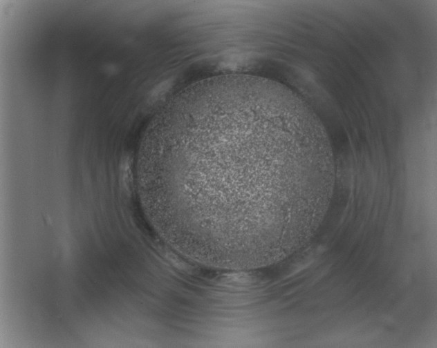 X0000068720127200605010943