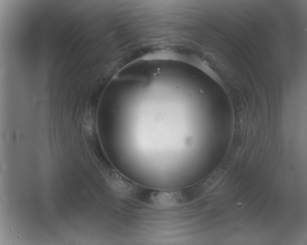 X0000068720129200605010943