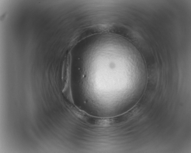 X0000068720131200605010943