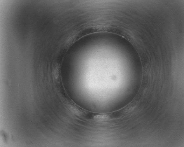 X0000068720133200605010943