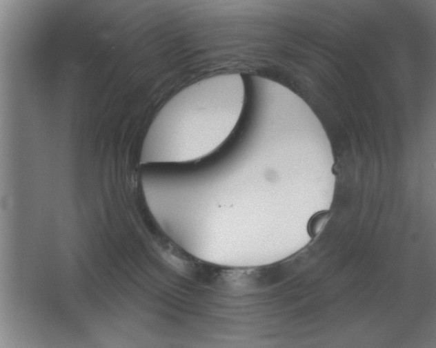 X0000068720136200605010943