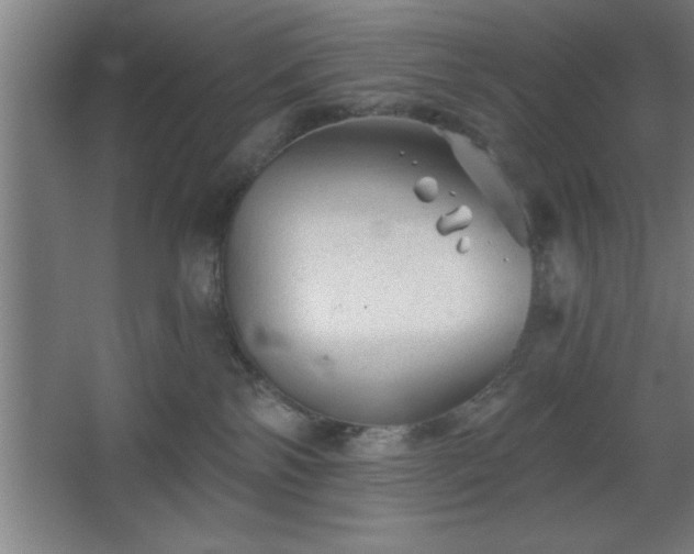 X0000068720138200605010943