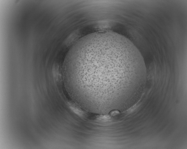 X0000068720140200605010943