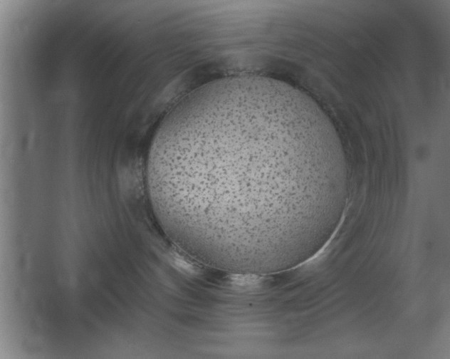 X0000068720144200605010943