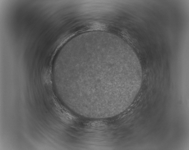 X0000068720146200605010942