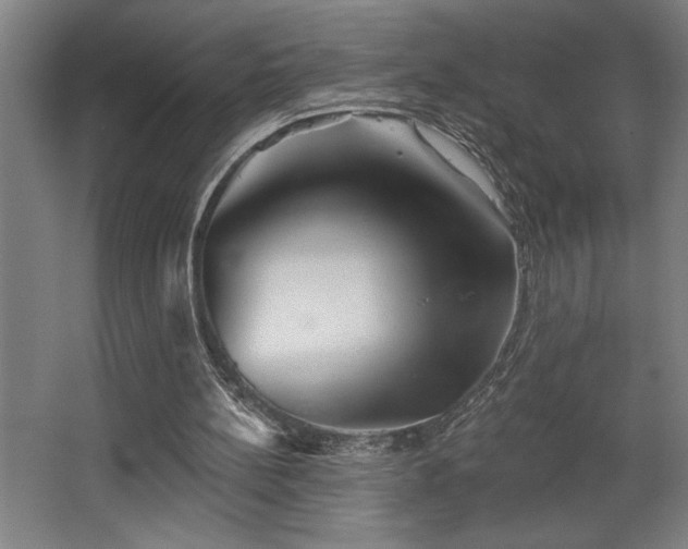 X0000068720148200605010942