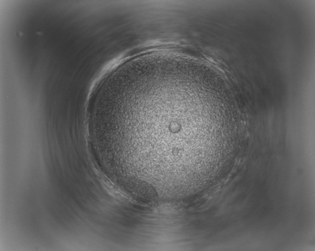 X0000068720149200605010942