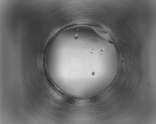 X0000068720155200605010942