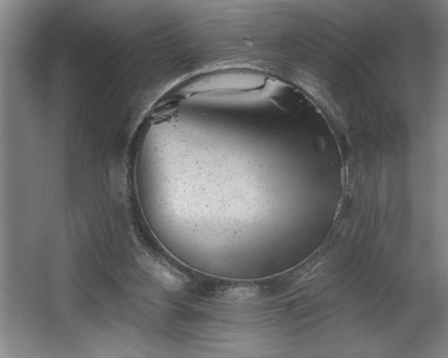 X0000068720156200605010942