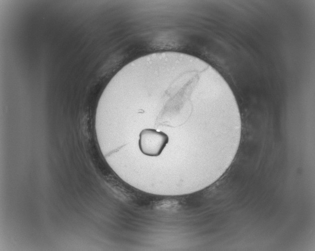 X0000068720162200605010942