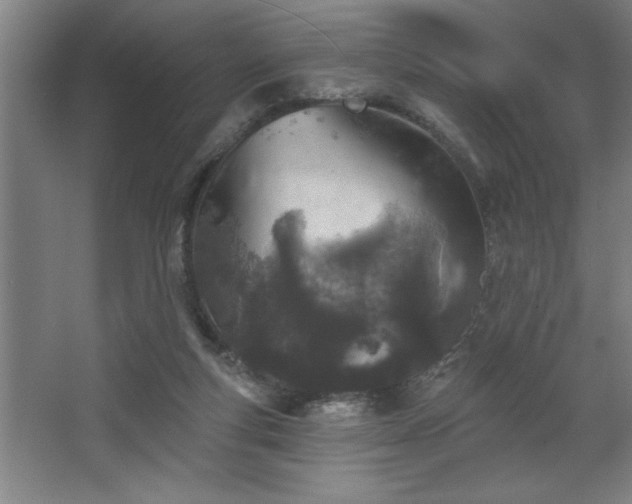 X0000068720163200605010942