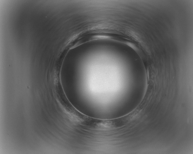 X0000068720164200605010942