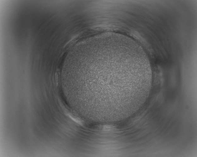 X0000068720165200605010942